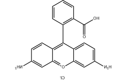 罗丹明标记肽 罗丹明标记肽