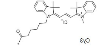 Cy3 