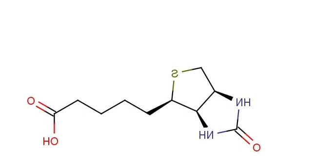 生物素 生物素