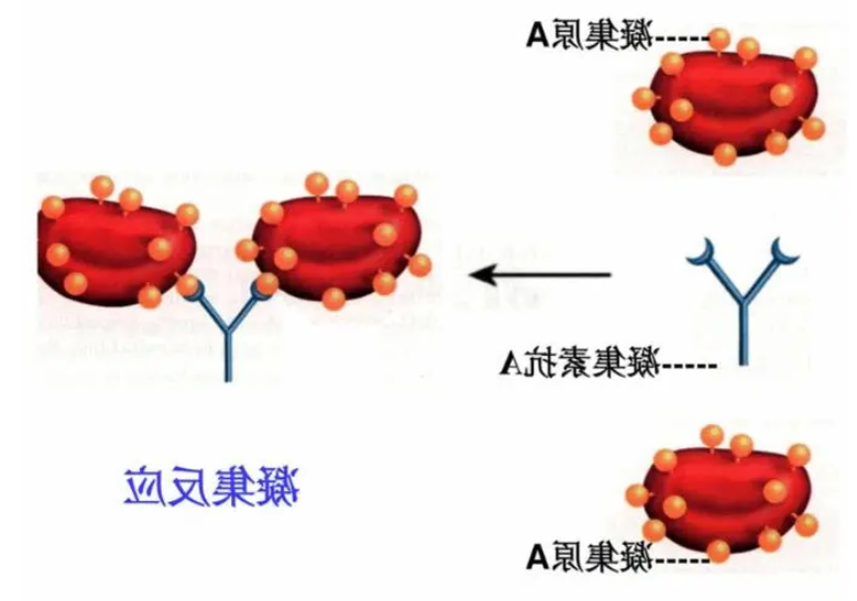 微信截图_20220426144038.png