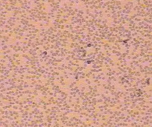 微信截图_20220427104008.png
