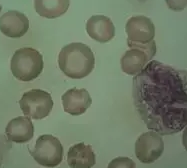 微信截图_20220427153735.png