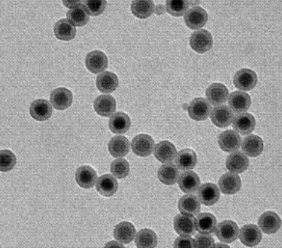 核壳结构上转换纳米粒 核壳结构上转换纳米粒