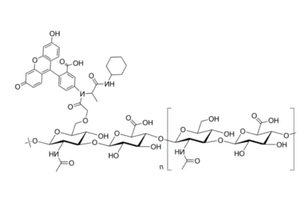 FITC-Hyaluronate