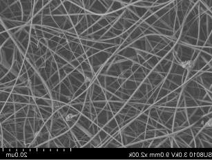 QQ截图20220507153339.png