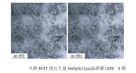 PEG修饰的ZnO量子点