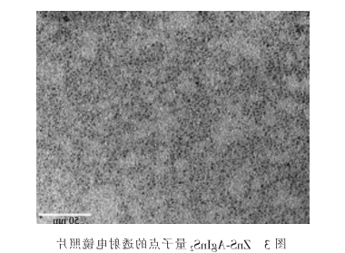 ZnS-AgInS2量子点