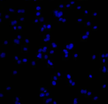 1652262611413264.png 1.png