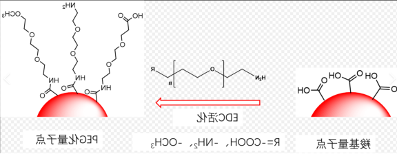水溶性羧基量子点