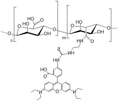 Rhodamine-Alginate