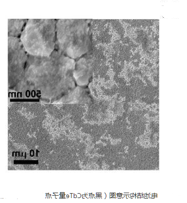 碲化镉量子点偶联喜树碱