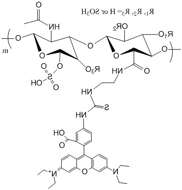 红色荧光素标记硫酸软骨素