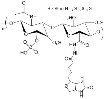 生物素素标记硫酸软骨素