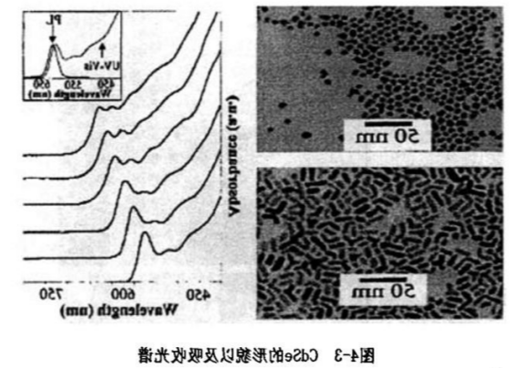 CdSe近红外二区量子点修饰甘草酸