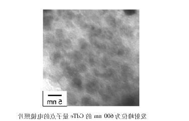 CdTe量子点标记雌二醇衍生物 CdTe量子点标记雌二醇衍生物