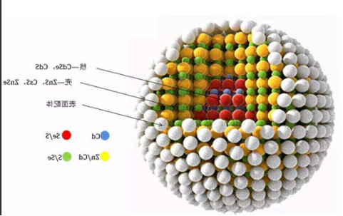 细胞核靶向TAT多肽修饰碳化钒(V2C)量子点(QDs)