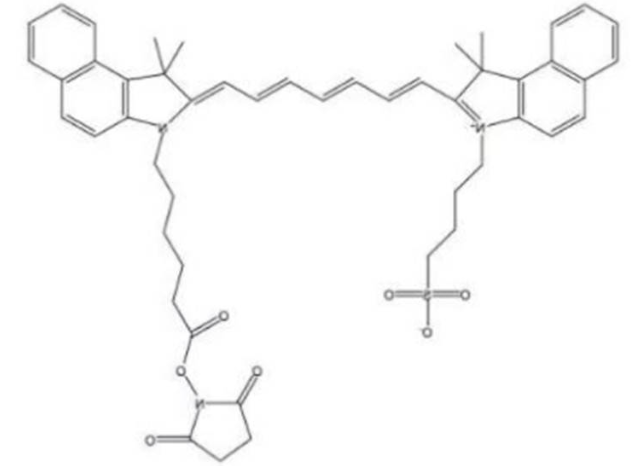 ICG-Isothiocyanate