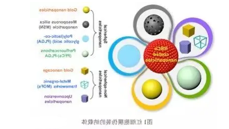 红细胞膜小鼠红细胞膜硅颗粒