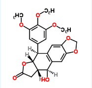 FITC荧光标记苦鬼臼毒素