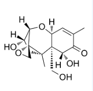 FITC荧光标记呕吐毒素
