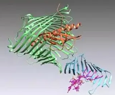 GRGDSP