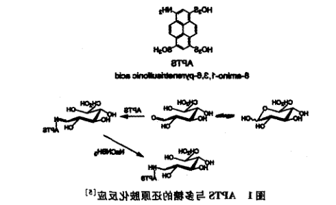 荧光标记单糖和寡糖 荧光标记单糖和寡糖