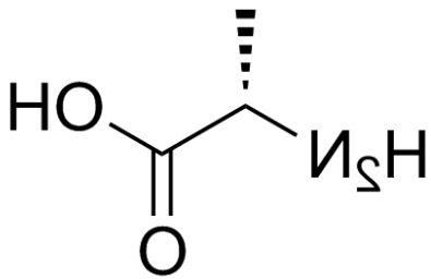 D–丙氨酸 D–丙氨酸