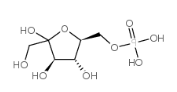  D-fructofuranose 6-phosphate