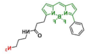 荧光染料BDP R6G azide/N3叠氮化物，CAS:2183473-23-4的参数及结构式