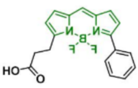 荧光染料BDP R6G carboxylic acid/COOH/羧酸羧基，CAS:174881-57-3的存储条件及相关产品
