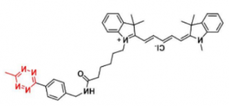 花菁染料Cy5-Methyltetrazine/甲基四嗪，吸收发射波长Ex/Em(nm)：655/678