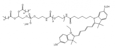 荧光染料Cy5-PEG-DSPE/聚乙二醇-二硬脂酰基磷脂酰乙醇胺的溶解度解析