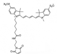 水溶性二磺酸基荧光染料diSulfo-Cy5 maleimide/马来酰亚胺，CAS:2130955-10-9 是什么颜色？
