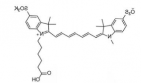 水溶性二磺酸基荧光染料diSulfo-Cy7 carboxylic acid/COOH/羧基羧酸(Methyl甲基)，CAS:1251915-04-4