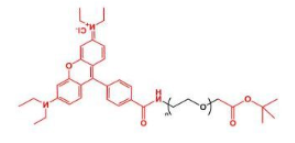 荧光染料罗丹明聚乙二醇叔丁酯，RB-PEG-COOtBu，Rhodamine-PEG-COOtBu