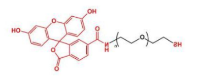 荧光素标记聚乙二醇巯基，FITC-PEG-SH，Thiol-PEG-FITC，Fluorescent-PEG-SH产品解析