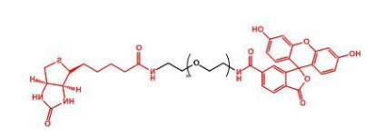 荧光素标记聚乙二醇生物素，FITC-PEG-Biotin，Fluorescent-PEG-Biotin产品性质及结构式解析