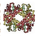DBCO-Transferrin DBCO-Transferrin