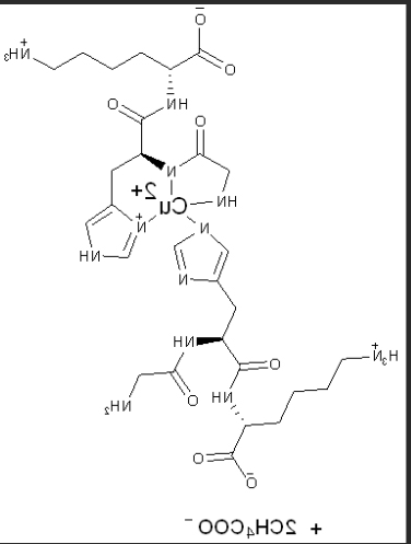 叠氮化物标记pna肽核酸