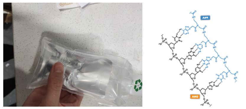 大豆过氧化酶标记肽核酸