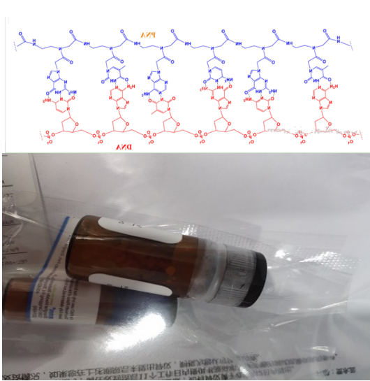 反义肽核酸(asPNA)
