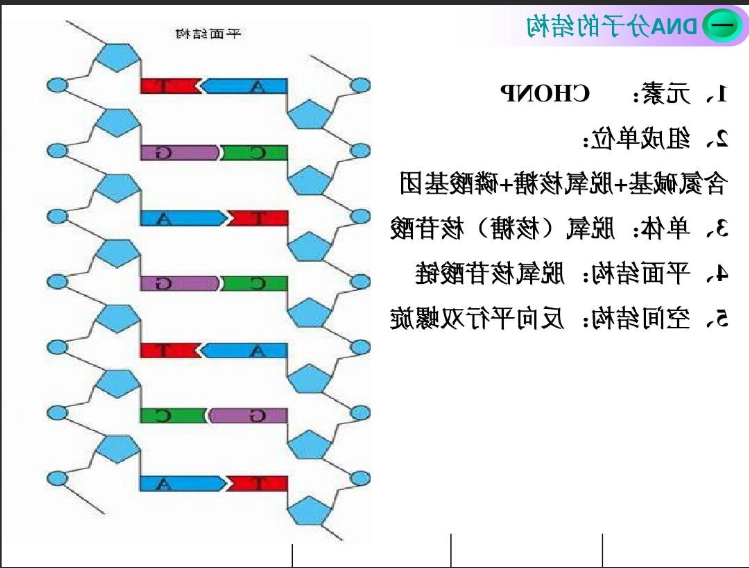近红外硒化铅PbSe量子点修饰脱氧核糖核酸DNA 近红外硒化铅PbSe量子点修饰脱氧核糖核酸DNA