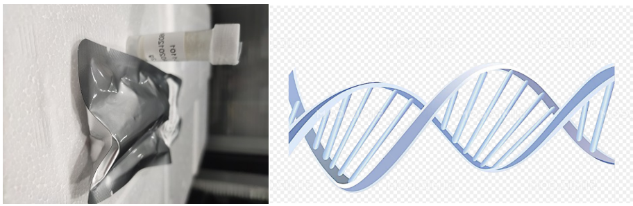 近红外荧光硒化银Ag2Se量子点修饰DNA