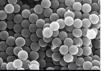  PEG-Pollen silica nanospheres