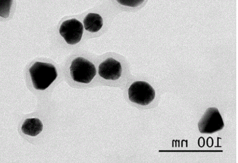 antibody-golden nano tetrahedron