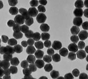 Nano Silver
