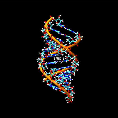 RNA(核糖核酸)偶联抗-8-甲基腺苷 (m8A) 抗体