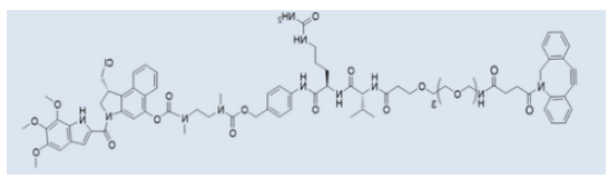 DBCO-PEG4-vc-PAB-Duocarmycin TM
