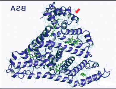 FA-EGCG-BSANP