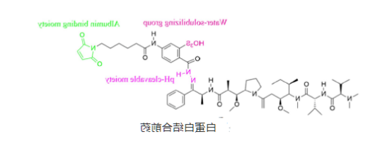 棉酚白蛋白纳米粒